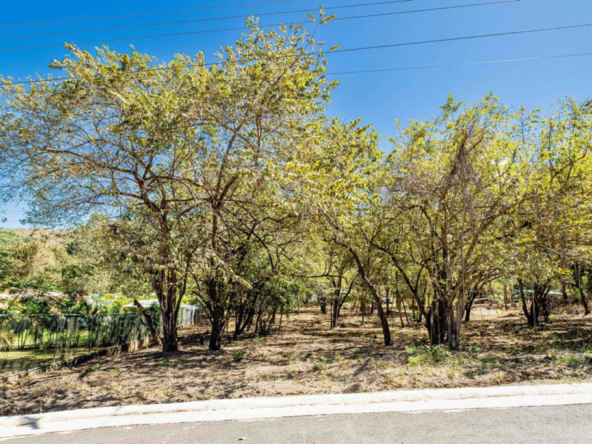 Agricultural Parcels with Lush Greenery and Sweeping Vistas