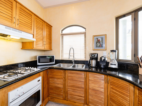 Tamarindo Condo with Pacific Ocean Views