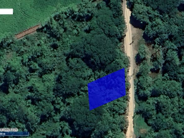 Palm Beach Public Road Frontage Lots